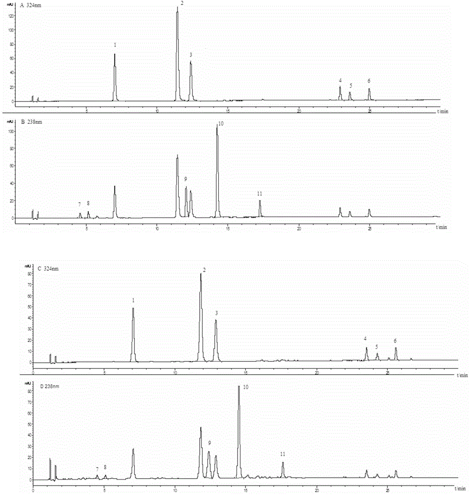 Method for simultaneously determining contents of 11 kinds of effective components in Reduning injection