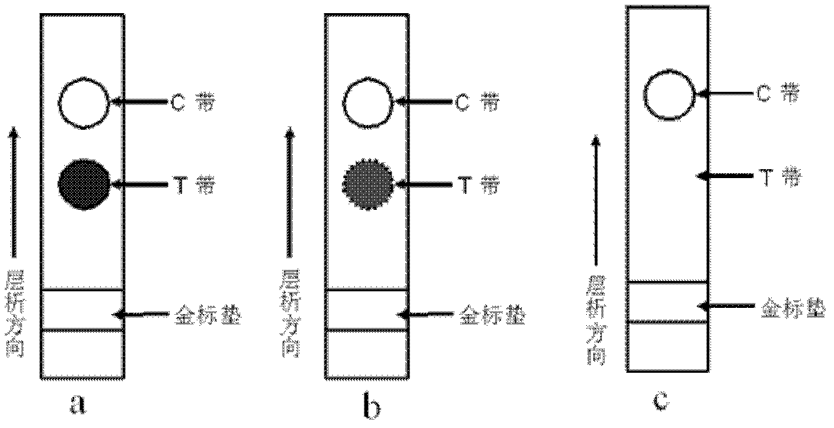Immune colloidal gold test paper and method for quantitatively detecting configurable logic block (CLB) by matching with photoelectric sensor thereof