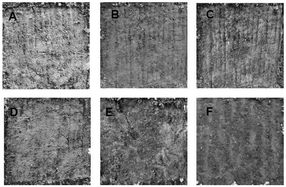 Method for preventing moss biological weathering on sandstone by using alcaligenes