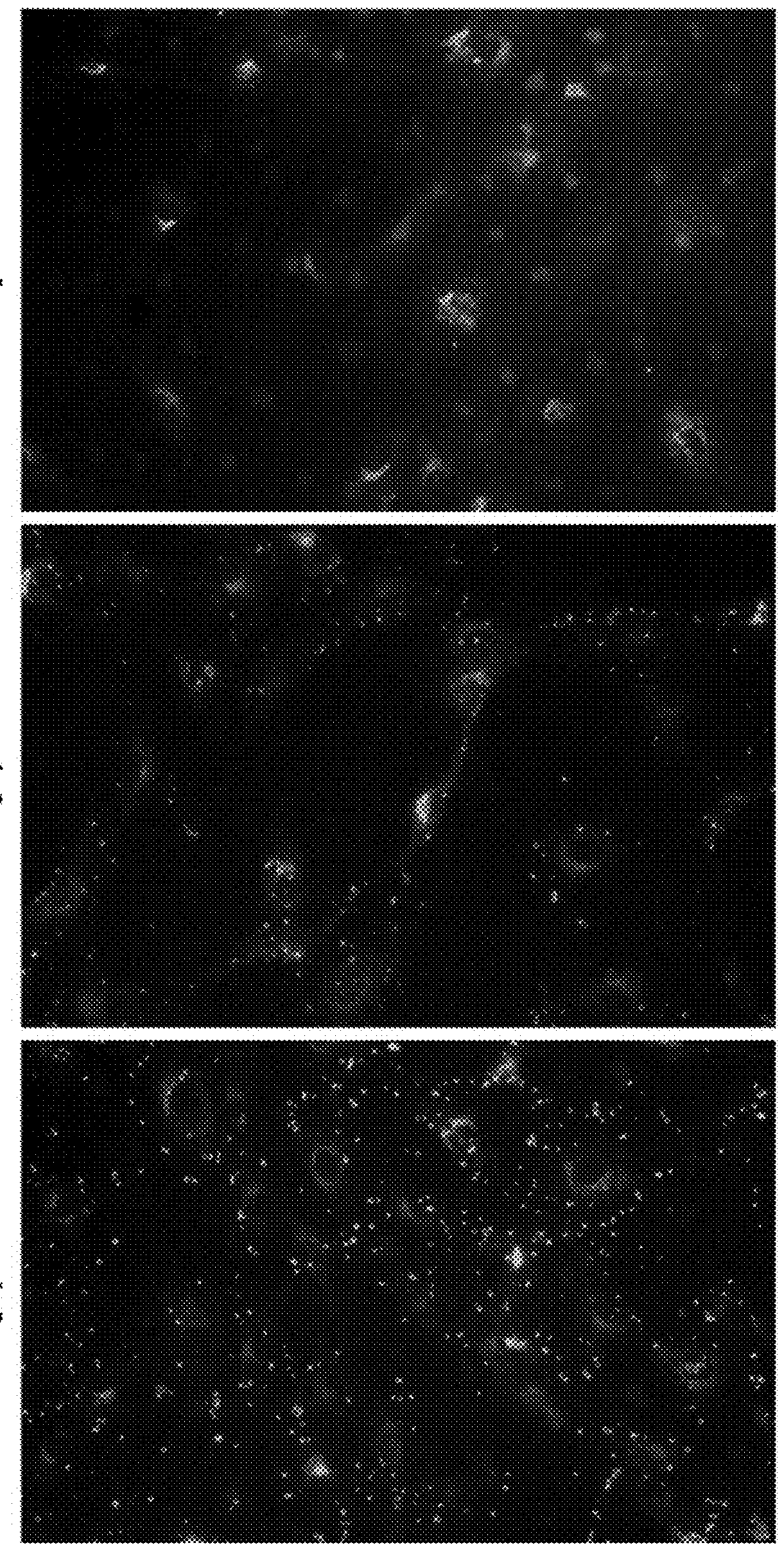 Methods and products for nucleic acid production and delivery