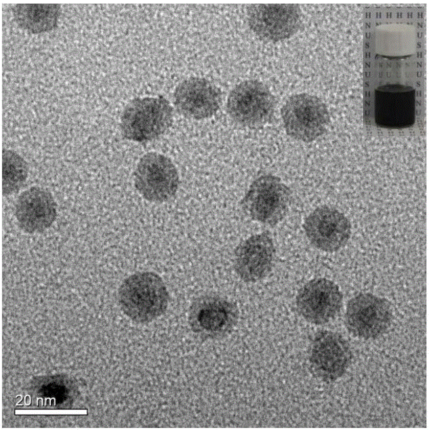 Nano probe having apoptosis targeting function as well as preparation method and application of nano probe