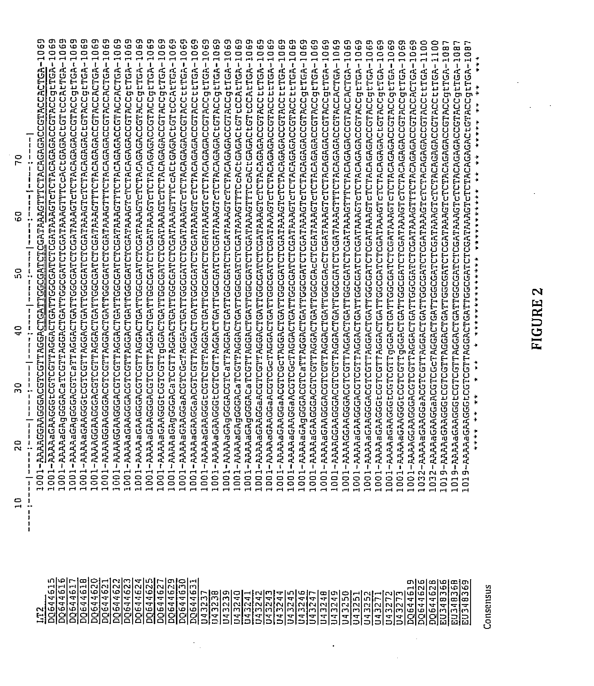 Methods and reagents for the detection of salmonella spp