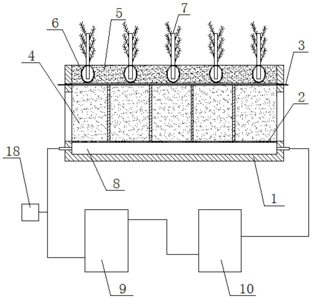 Phytoremediation device for cadmium-lead composite contaminated soil