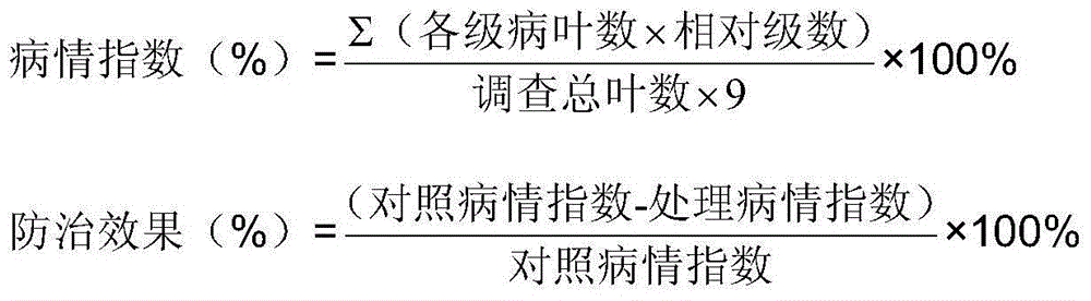 Cycloxaprid and amide insecticide composition