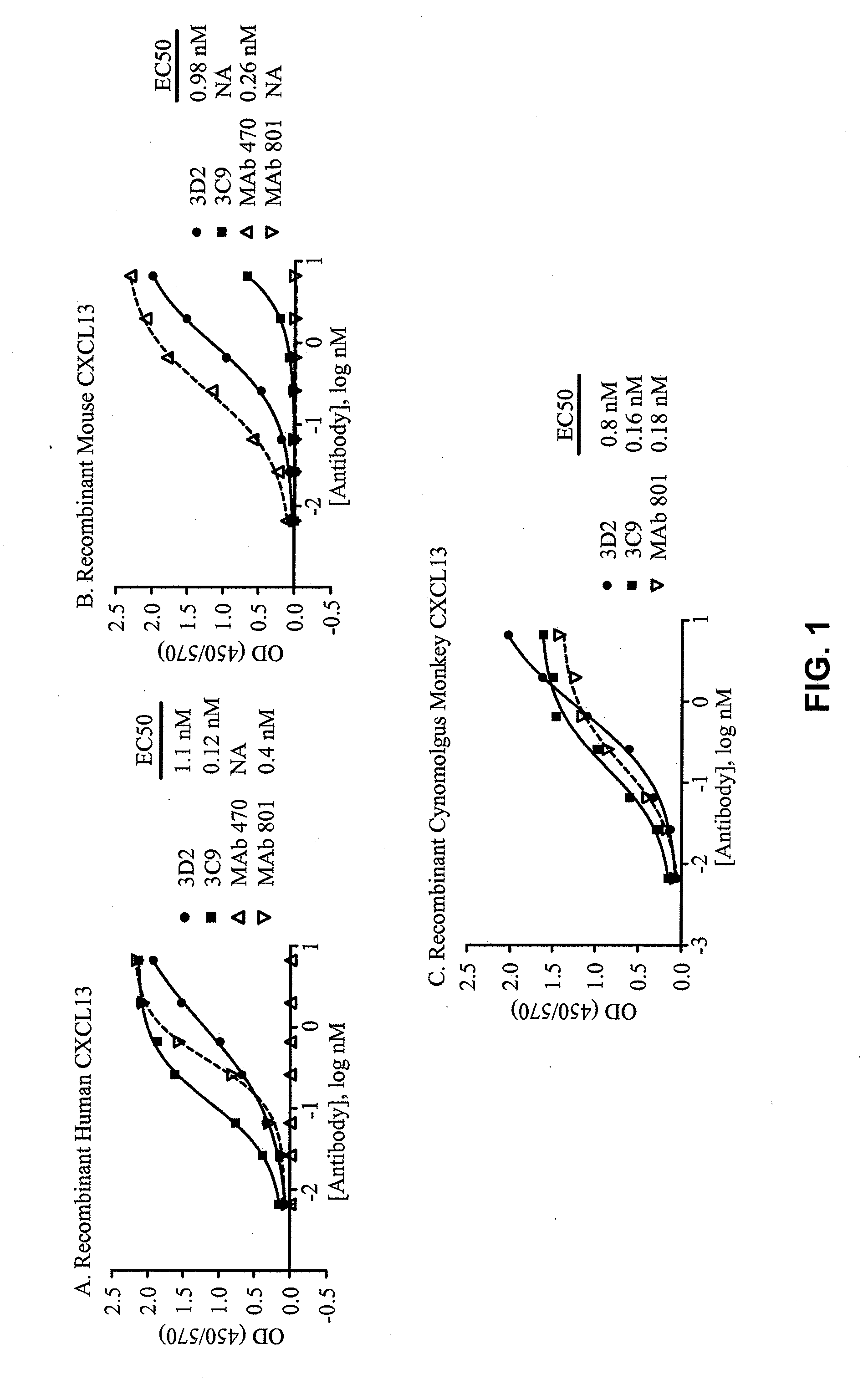 Anti-cxcl13 antibodies and associated epitope sequences