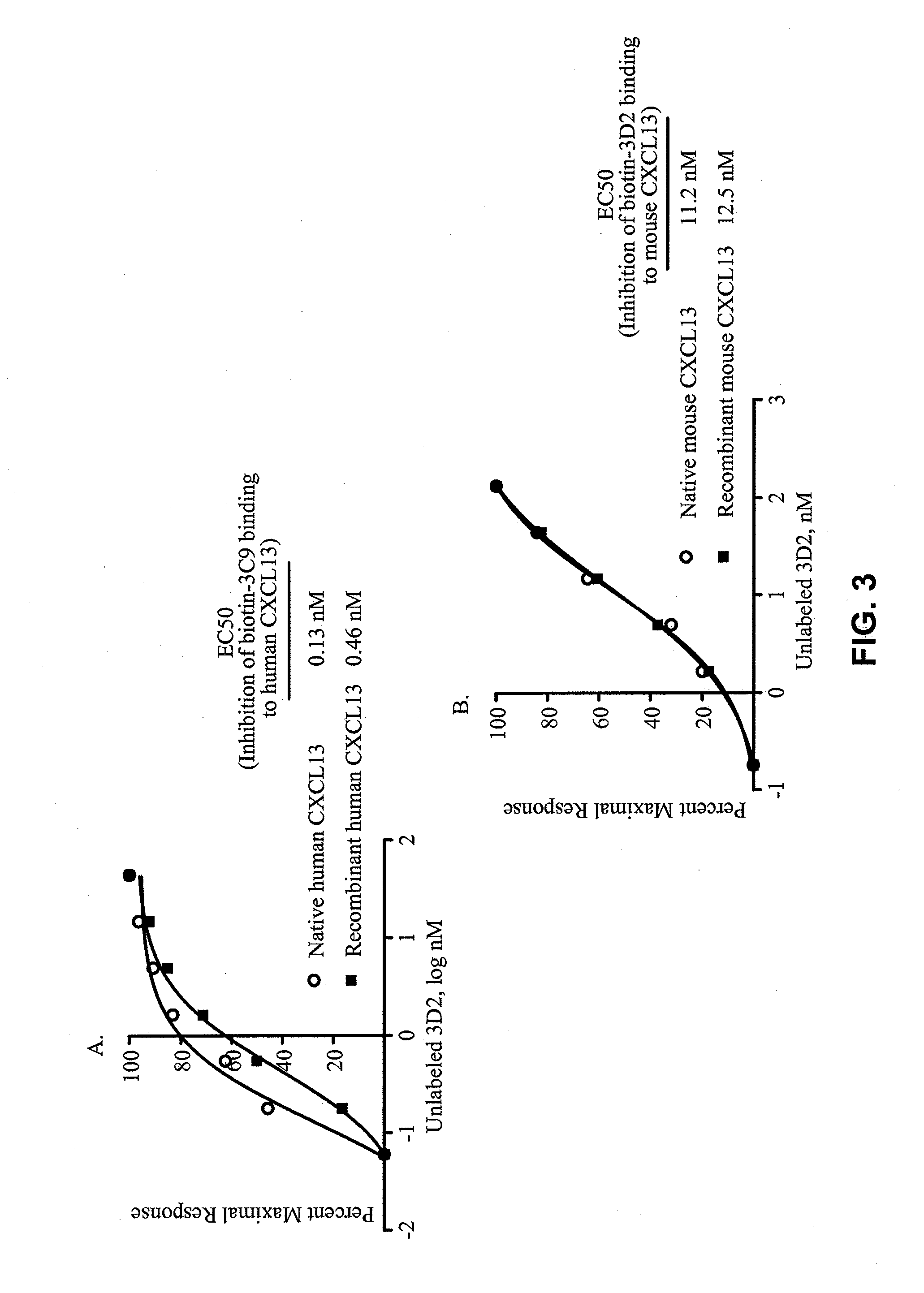 Anti-cxcl13 antibodies and associated epitope sequences