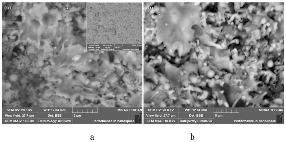 A method of a modified silicon -based polymer to prepare the structure function of integrated coating