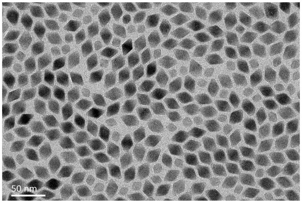 LiErF4-based core-shell structure up-conversion nanometer luminescent material and preparation method thereof