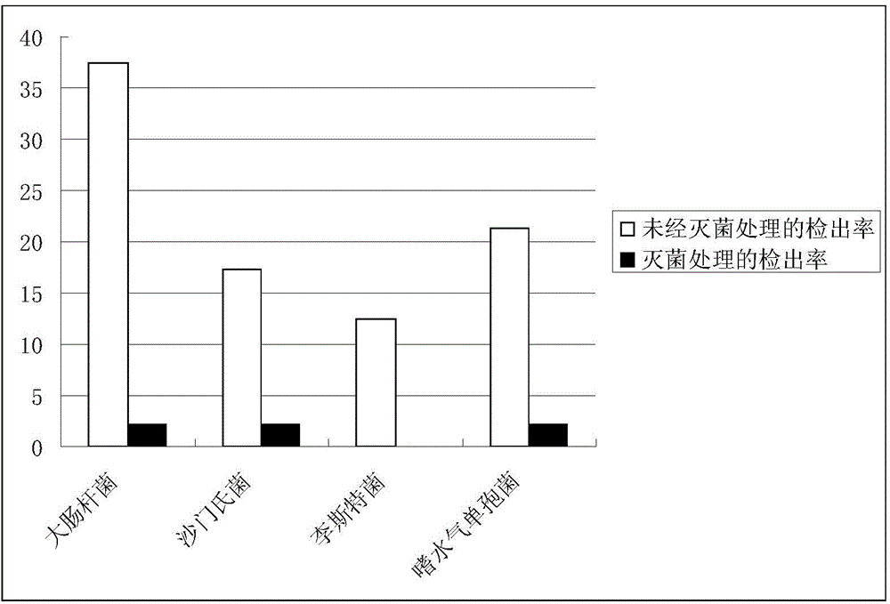 Artificial incubation and artificial brooding method for pelicans