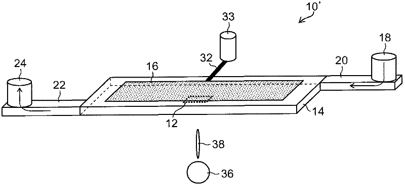 Liquid ejection head, liquid ejection apparatus and inkjet printing apparatus