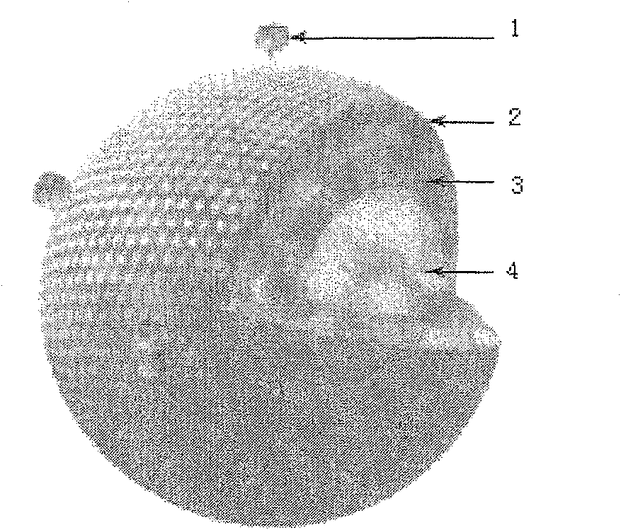 Ultrasound and MRI combined contrast medium and preparation method thereof