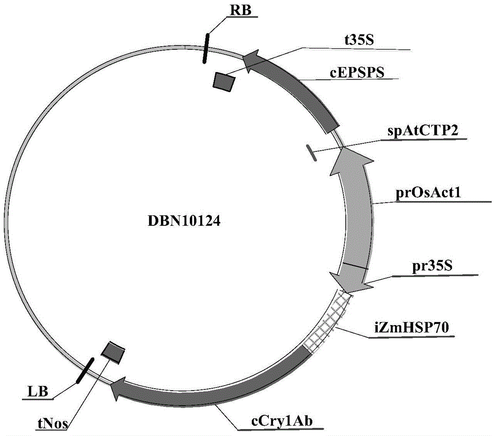 Nucleic acid sequence for detecting corn plant DBN9968, and detection method thereof