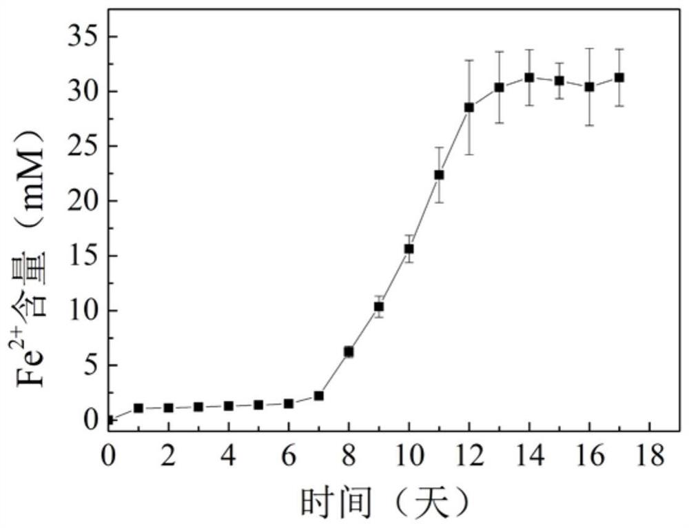 Method for in-situ synthesis of nano magnetite by soil microorganisms