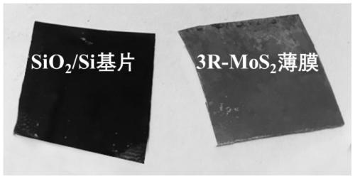 Method for growing large-area single crystal 3R-MoS2 film by using molten salt electrolysis method