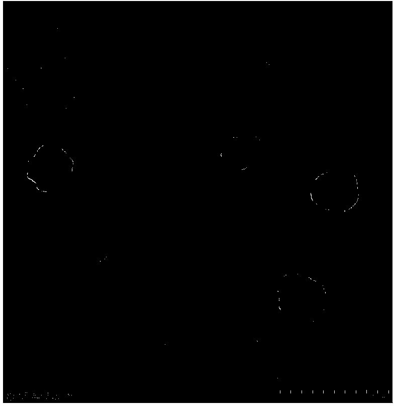 Nano suspension containing hydroxycamptothecin and preparation method of nano suspension