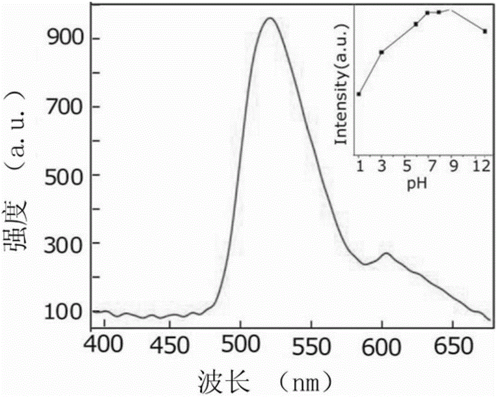 Preparation and application of a nitrogen-doped graphene quantum dot two-photon fluorescent probe