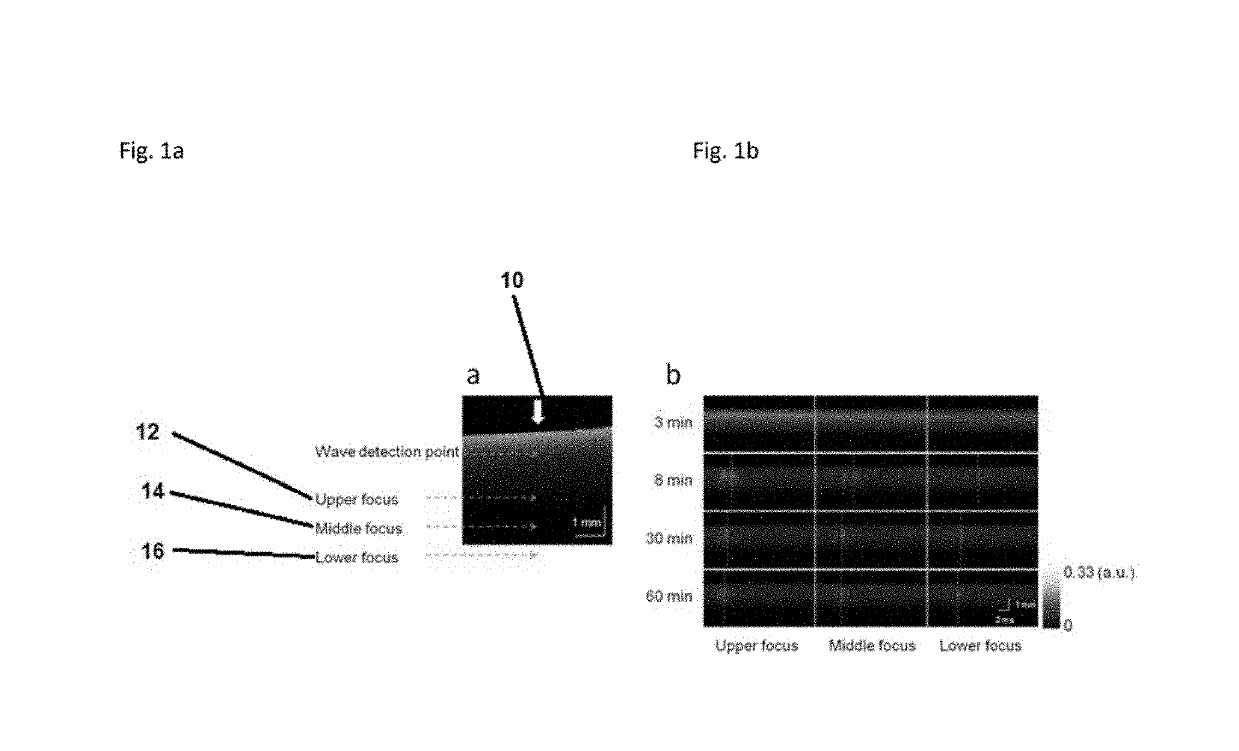 Assessment of blood coagulation using an acoustic radiation force based optical coherence elastography (ARF-OCE)