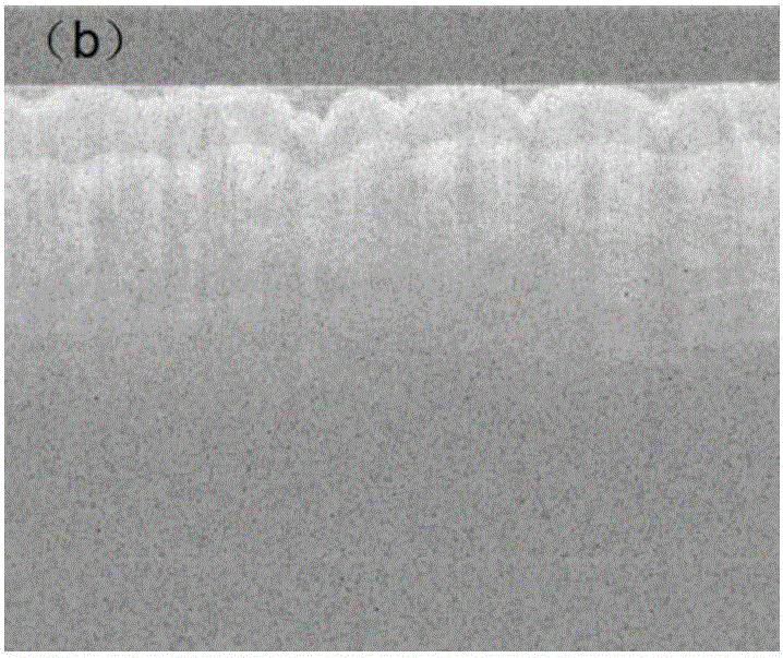 Swept-source-based correction method of phase errors in optical coherence tomography