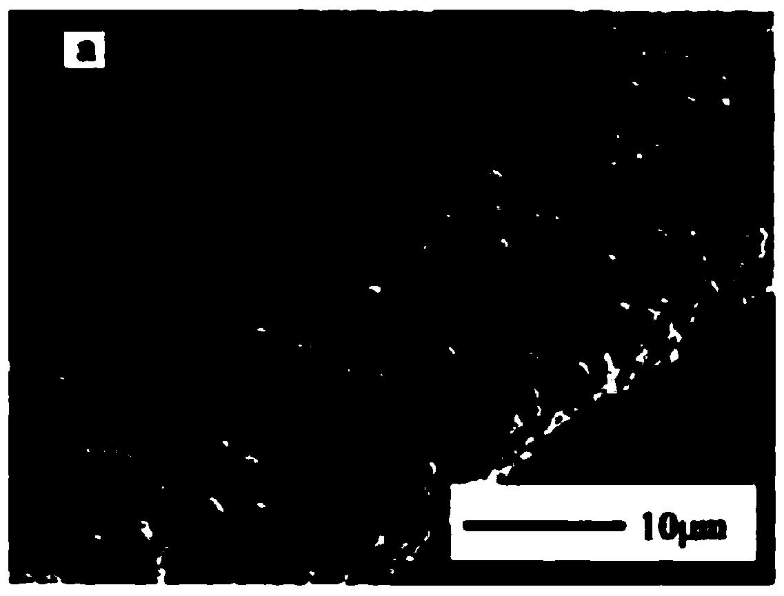 A kind of hemostatic compound and preparation method thereof