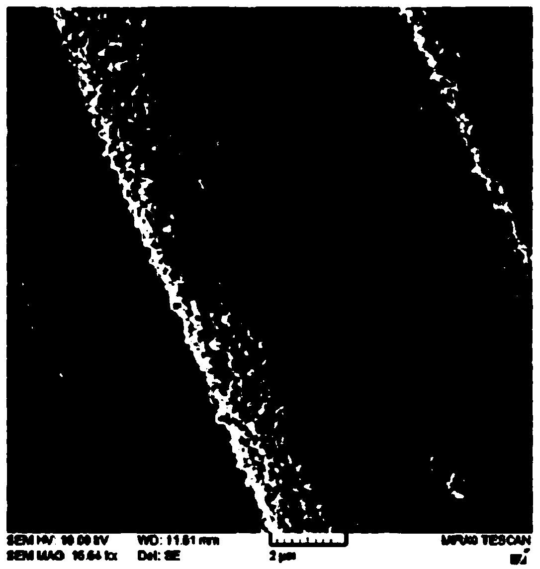 A kind of hemostatic compound and preparation method thereof