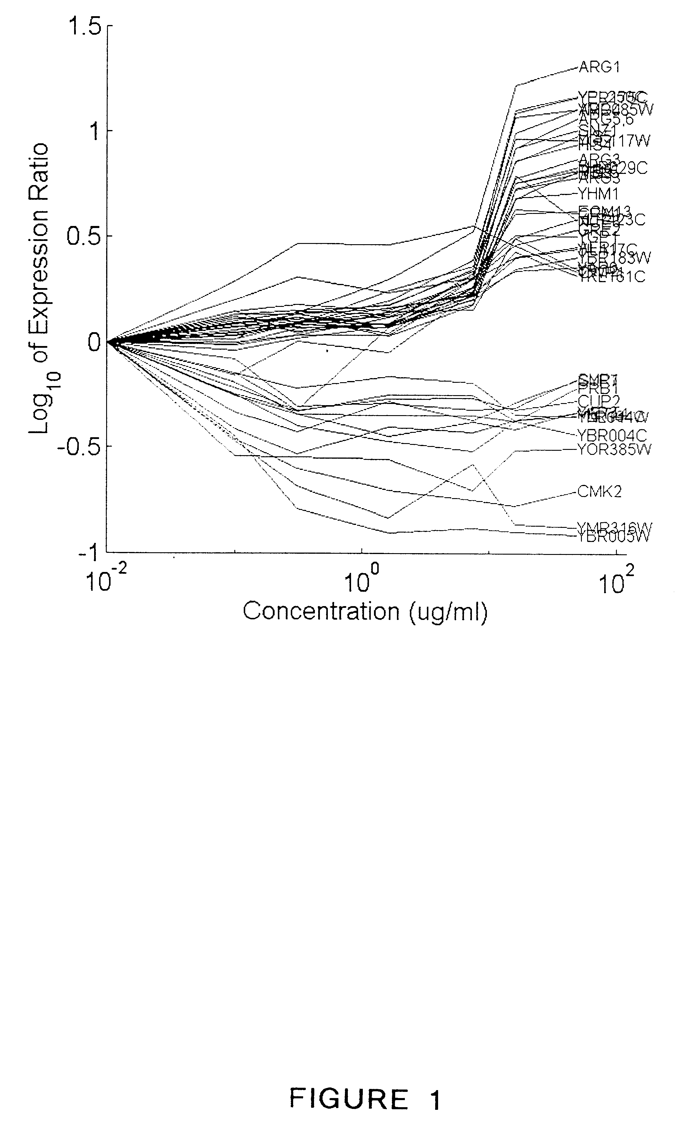 Methods for drug interaction prediction using biological response profiles