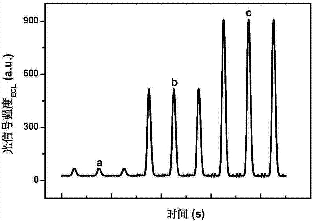 Aniline solid phase electrochemiluminescence detection method