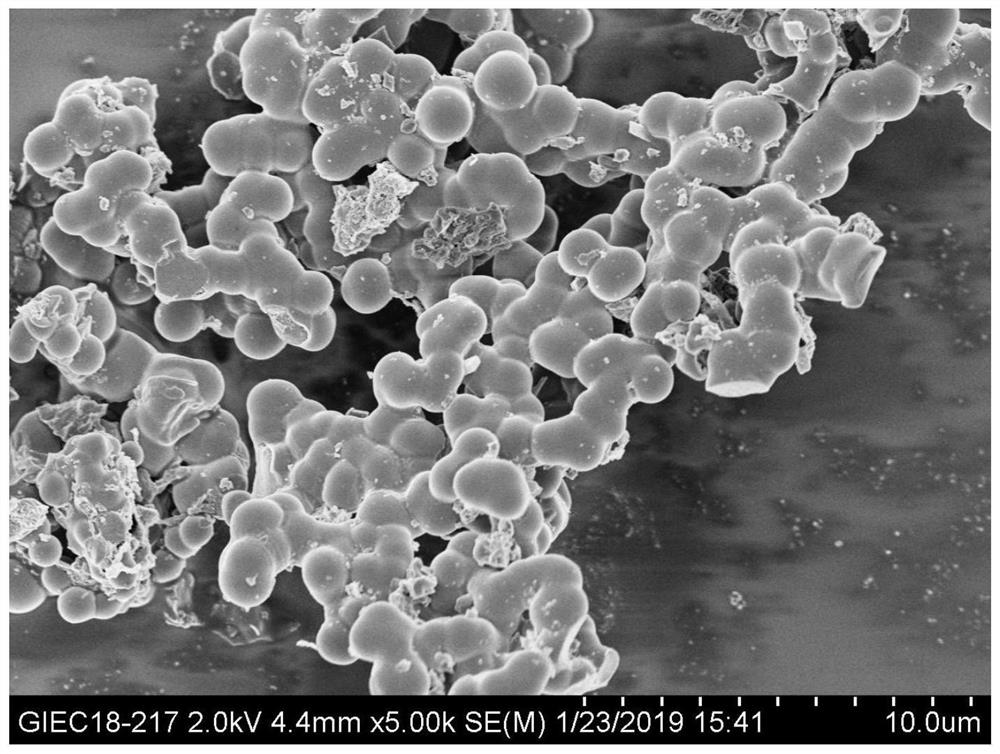 Fluorescent blotting membrane for in-situ visual detection of root exudates as well as preparation and application of fluorescent blotting membrane