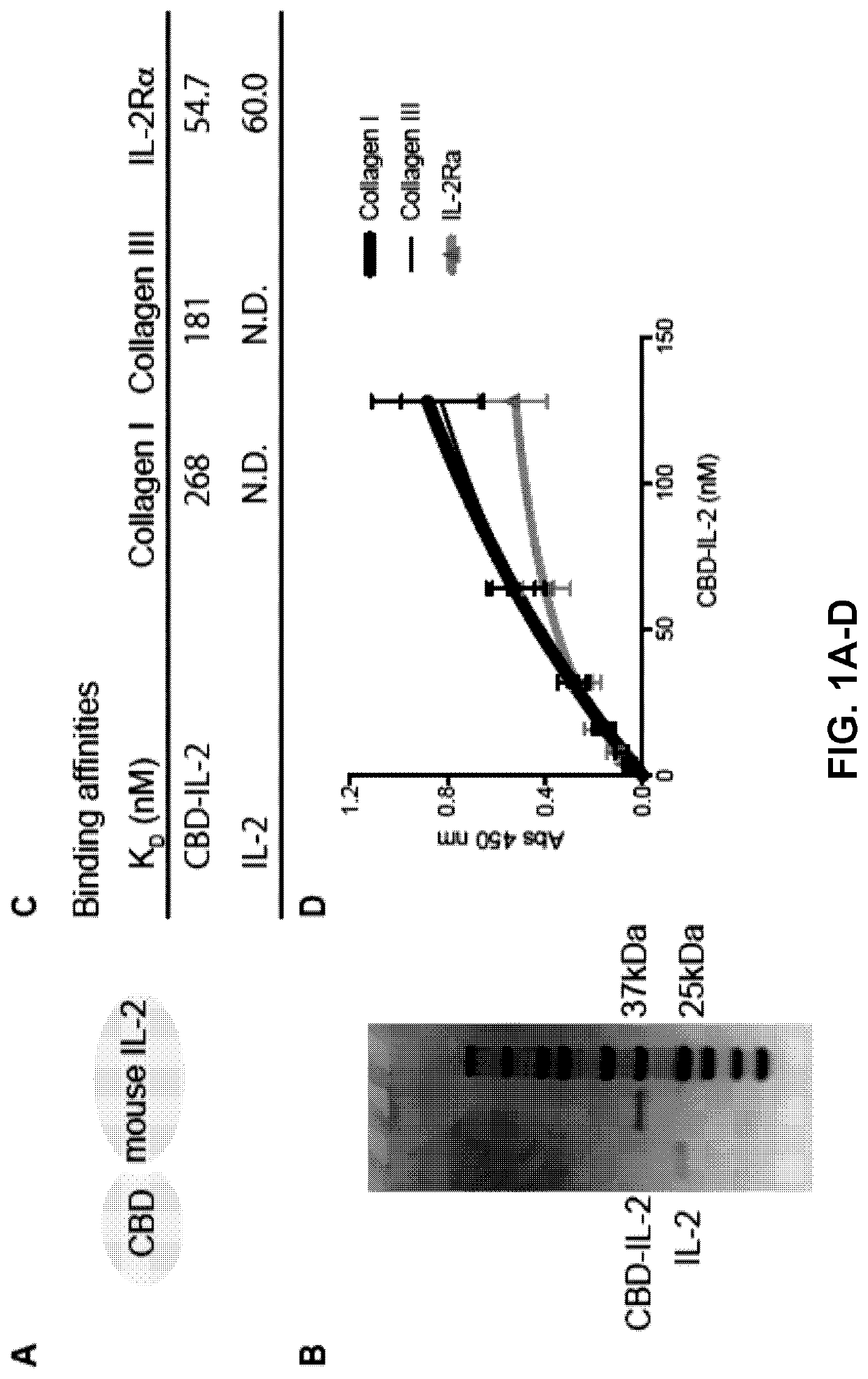 Methods and compositions for treating cancer with ecm-affinity peptides linked to cytokines