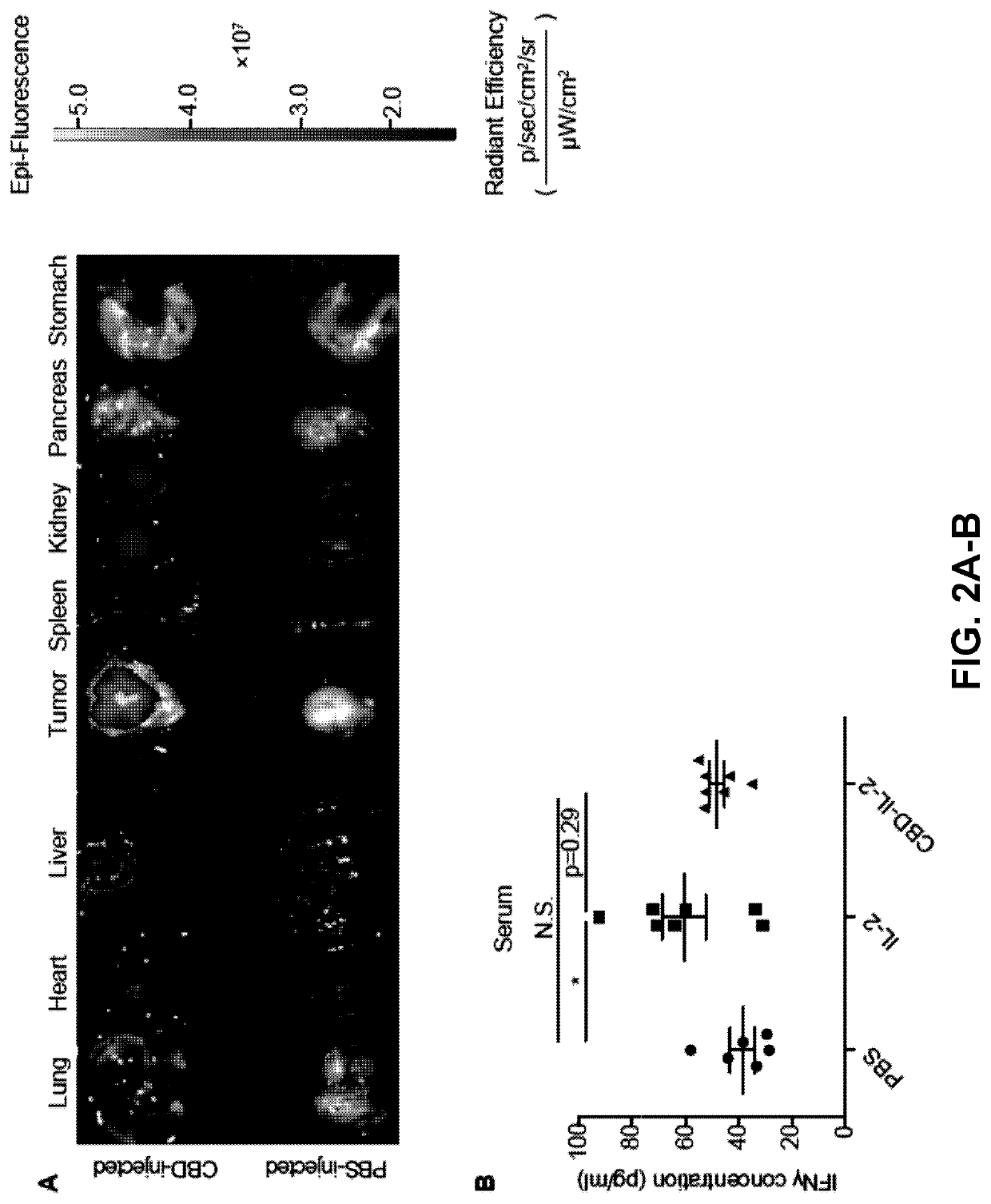 Methods and compositions for treating cancer with ecm-affinity peptides linked to cytokines