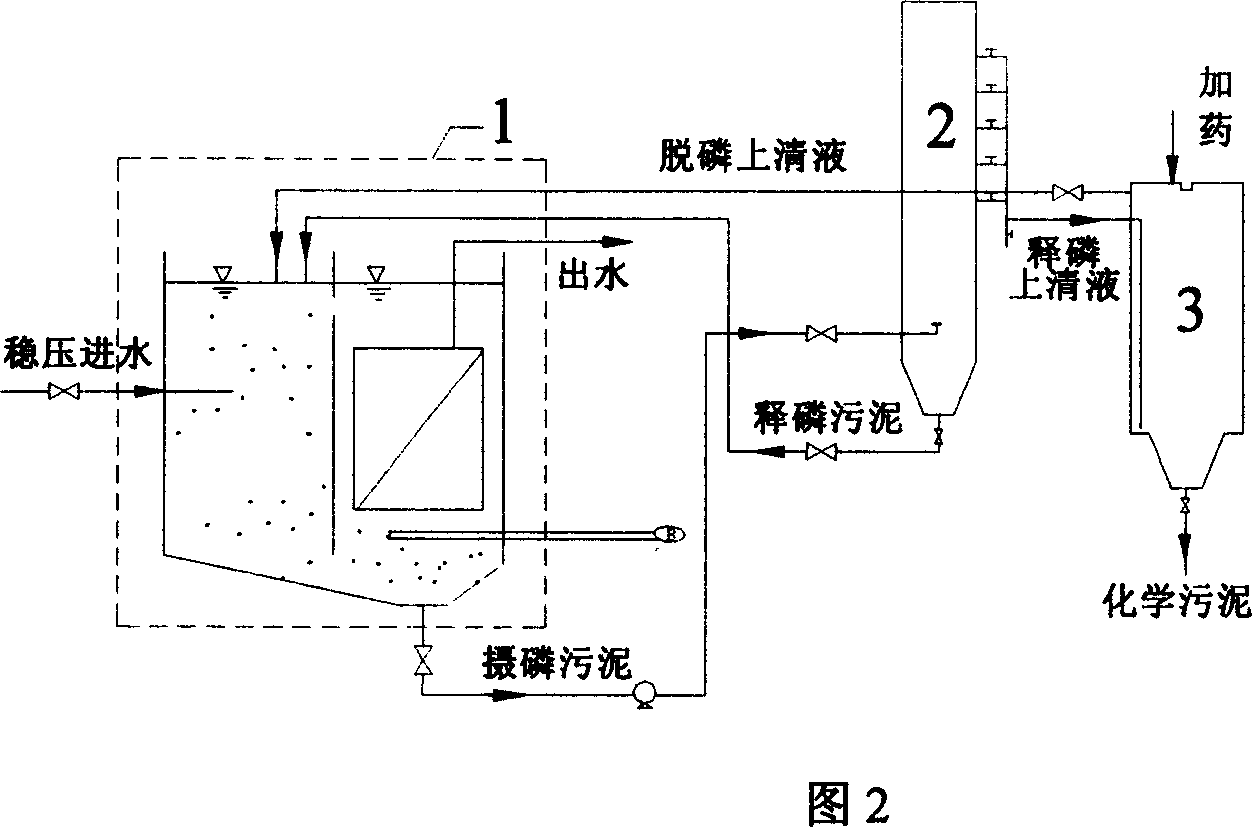 Integrated membrane biological fluidized bed sewage treating method and apparatus