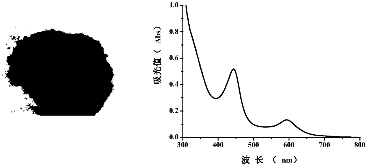 Garlic pigment extract capable of preventing DNA injury