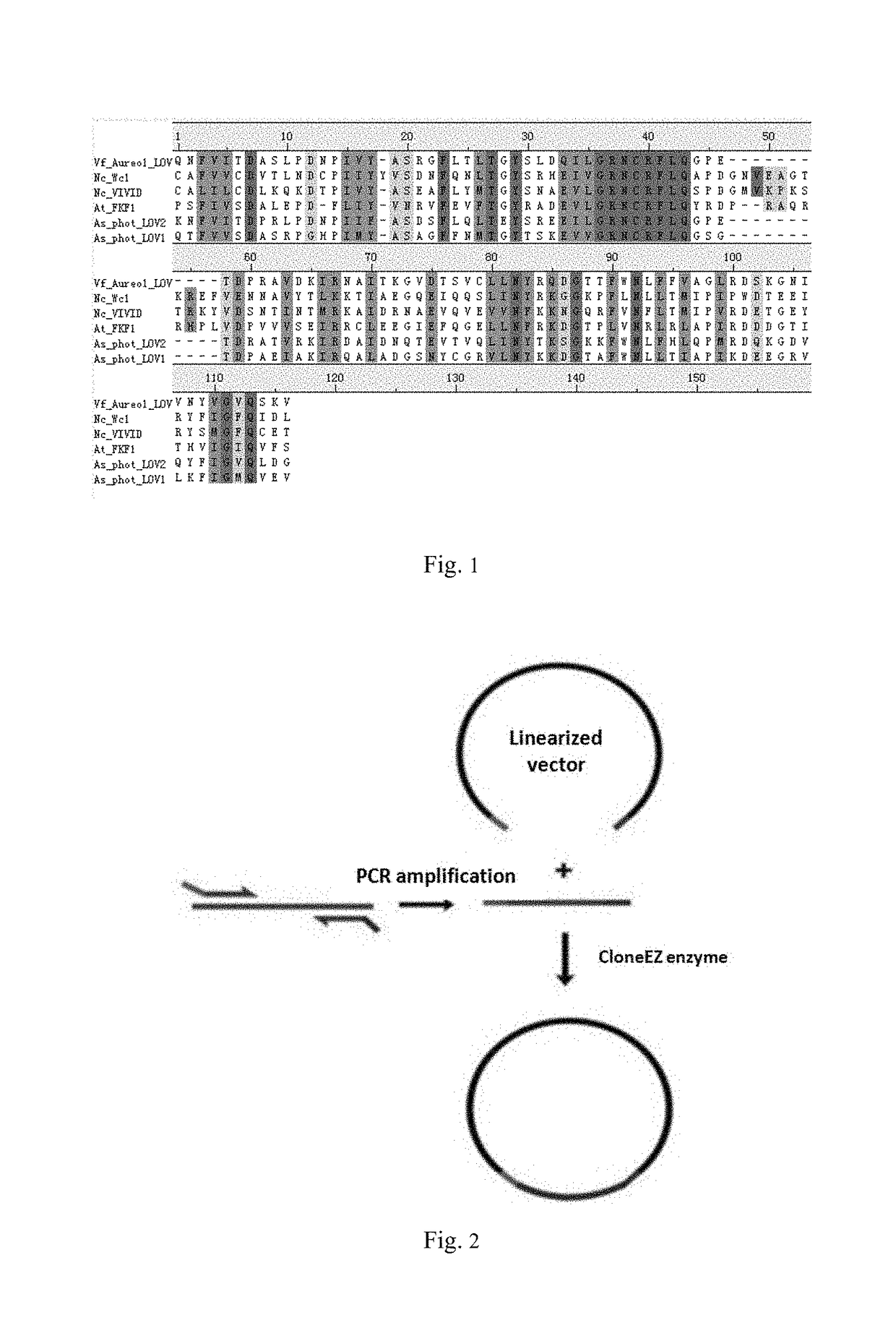 Light-switchable gene expression system
