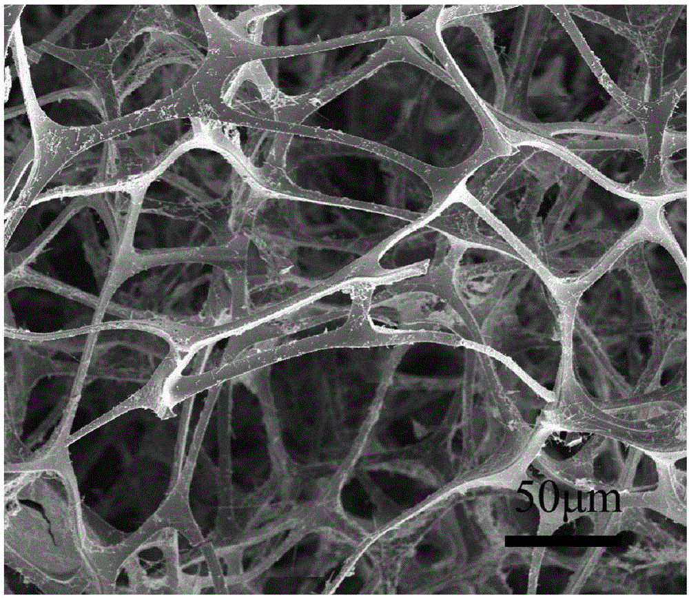 Preparation method and application for composite elastomer containing graphene coated copper nanowire