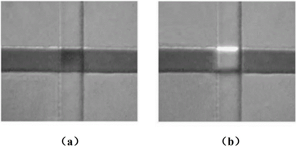 Method for preparing assembly type polymer micro fluidic chip equipped with integrated pneumatic micro valve