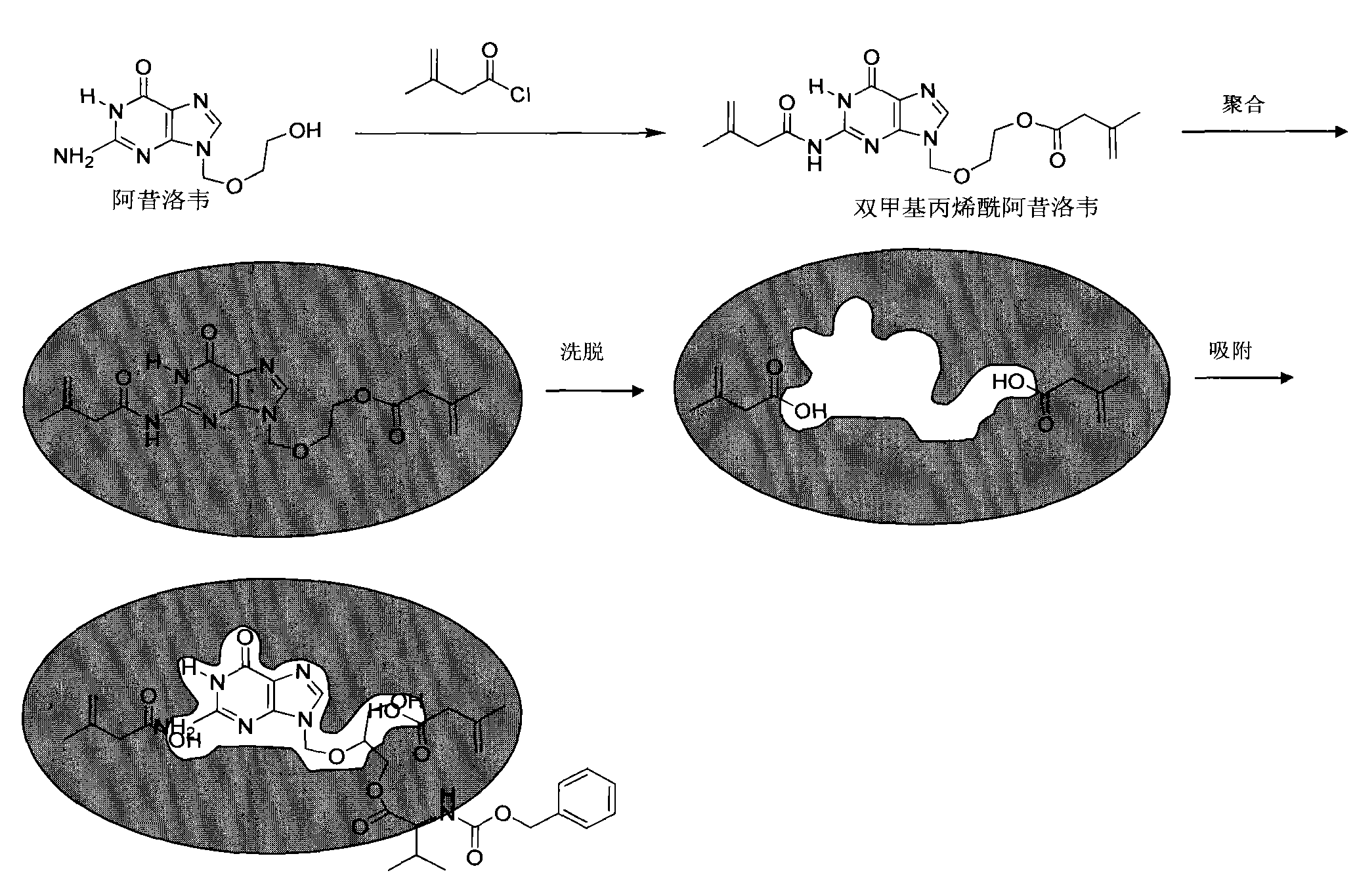 Acyclovir molecularly imprinted polymer, preparation method and application thereof