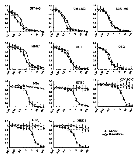 Adenovirus capable of expressing anti-cancer gene efficiently, regulated by miRNA and capable of specifically proliferating in glioma cells and application thereof