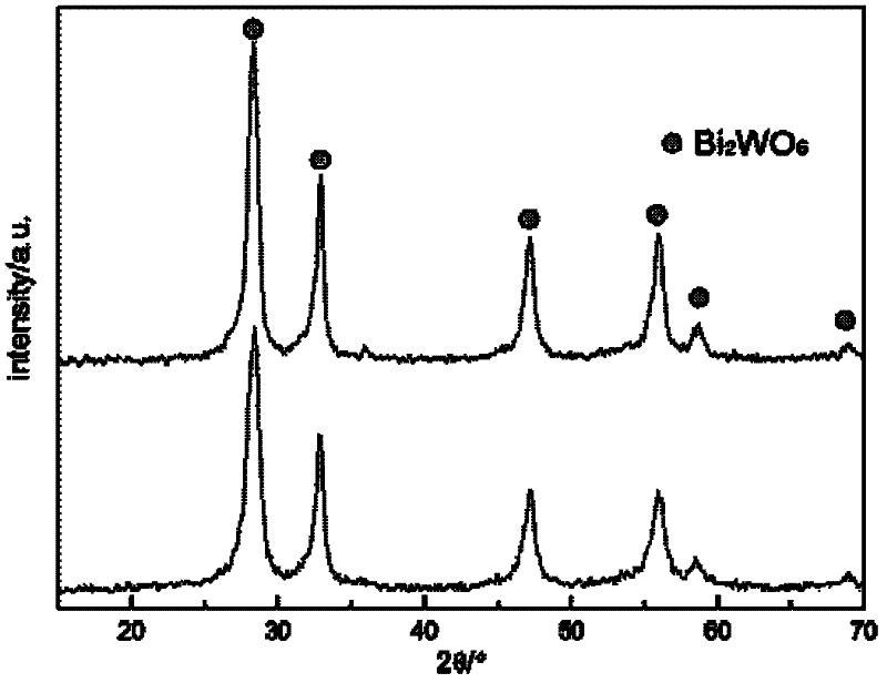 Method for preparing nitrogen-doped bismuth tungstate powder photocatalyst through microwave hydrothermal method