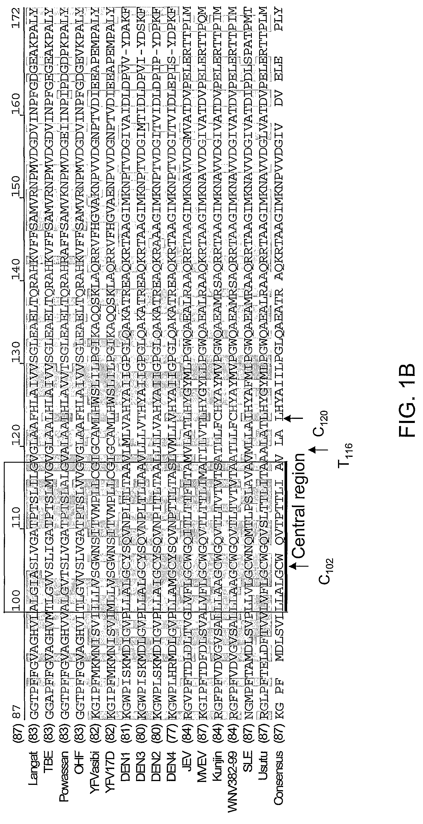 Attenuated virus strains and uses thereof