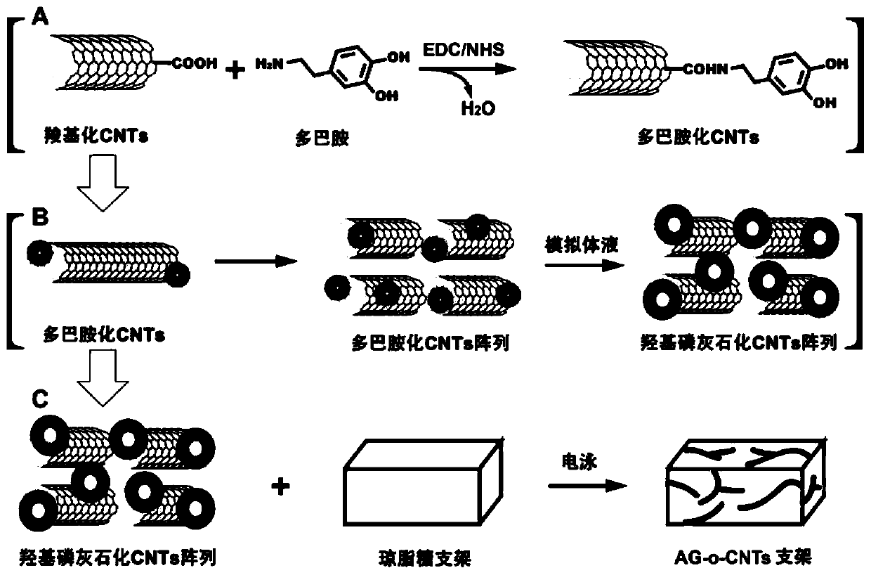 A bionic bone tissue engineering scaffold and its preparation method and application