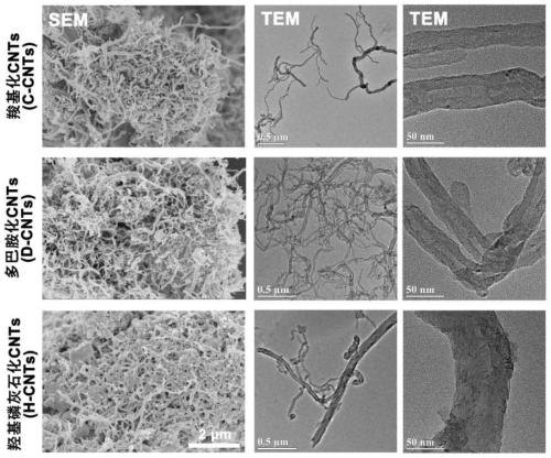 A bionic bone tissue engineering scaffold and its preparation method and application