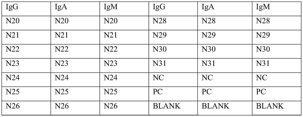 IgG, IgM and IgA antibody combined detection kit for 2019-nCoV and detection method thereof