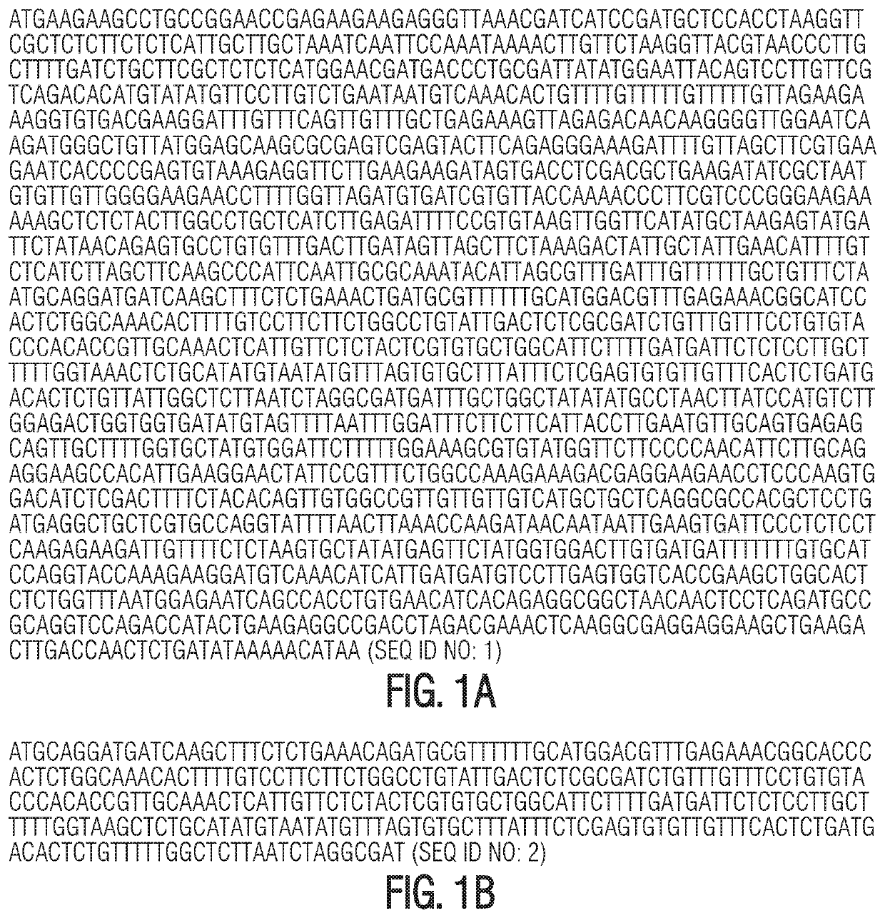 Engineered nucleases to generate mutations in plants