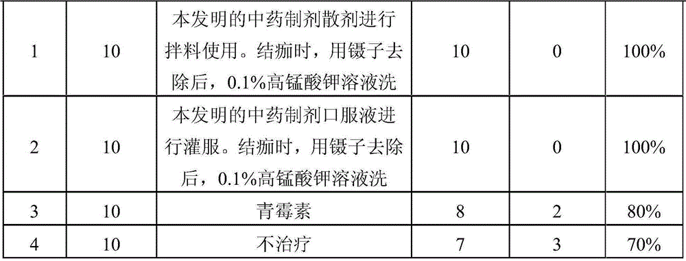 Chinese herbal preparation for preventing and controlling cattle and sheep skin mucosa blistering necrotic disease
