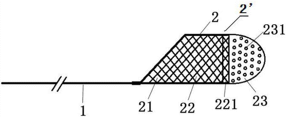 Delivery device of embolic protection device in blood vessel