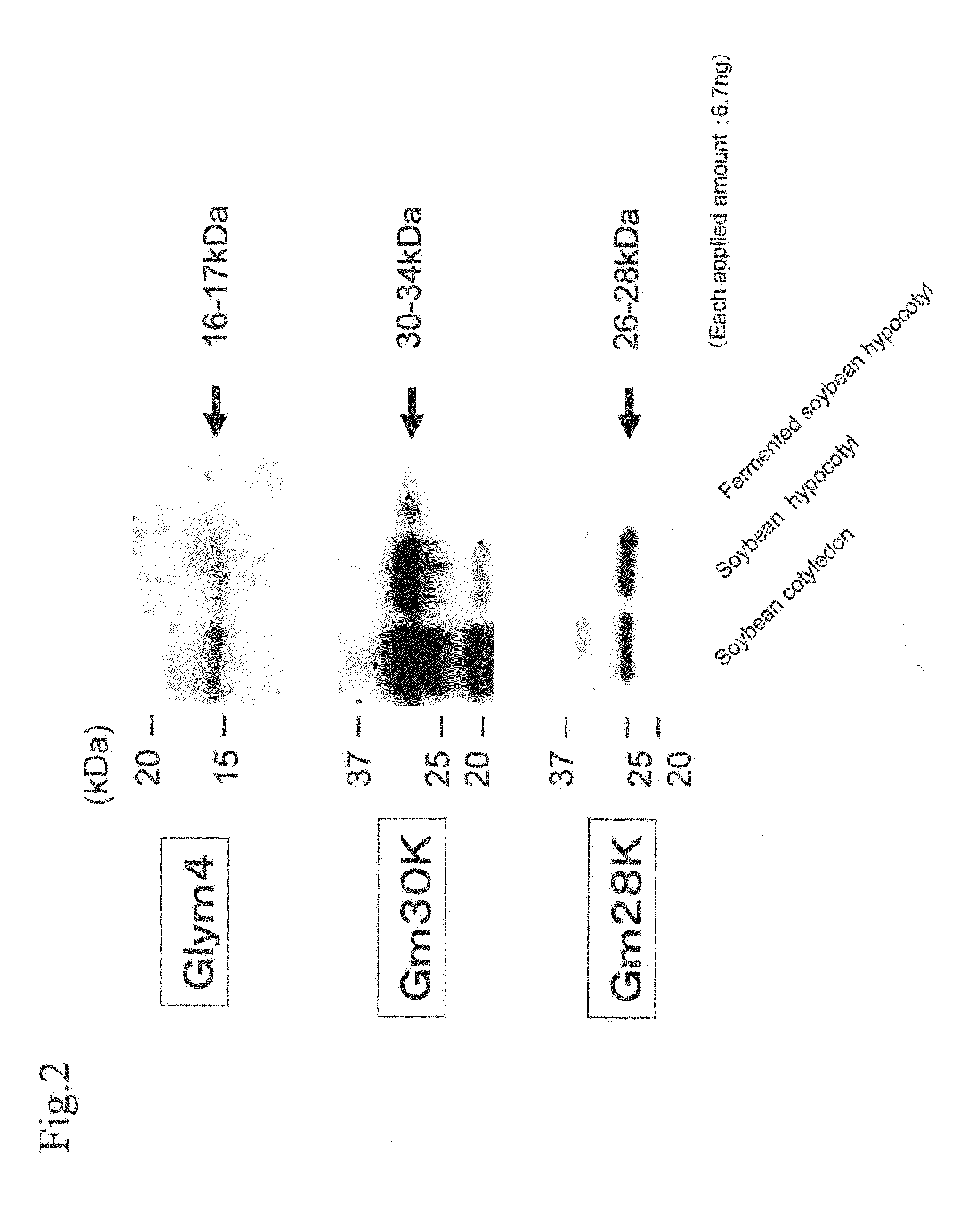 Equol-containing extract, method for production thereof, method for extraction of equol, and equol-containing food