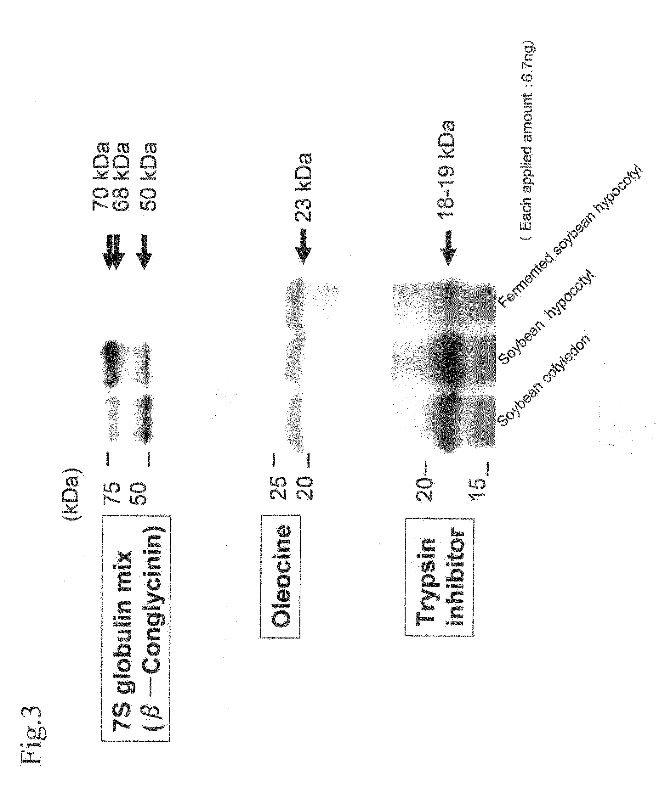 Equol-containing extract, method for production thereof, method for extraction of equol, and equol-containing food