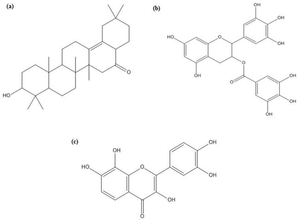 Application of plant compounds in preparation of drugs for preventing and treating Alzheimer's disease
