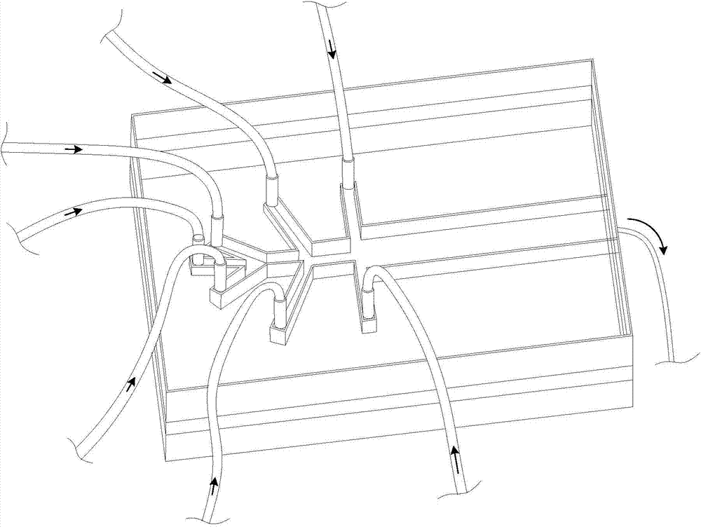 Three-dimensional culture hepatocyte device capable of simulating hepatic plate structure and culture method of hepatocyte