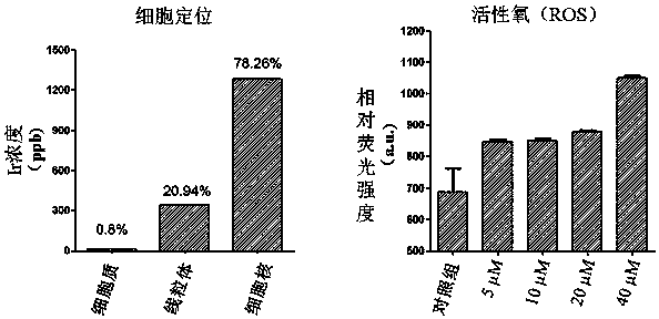 Rhein specific group modified organic compound, aryl metal complex, preparation method and application thereof
