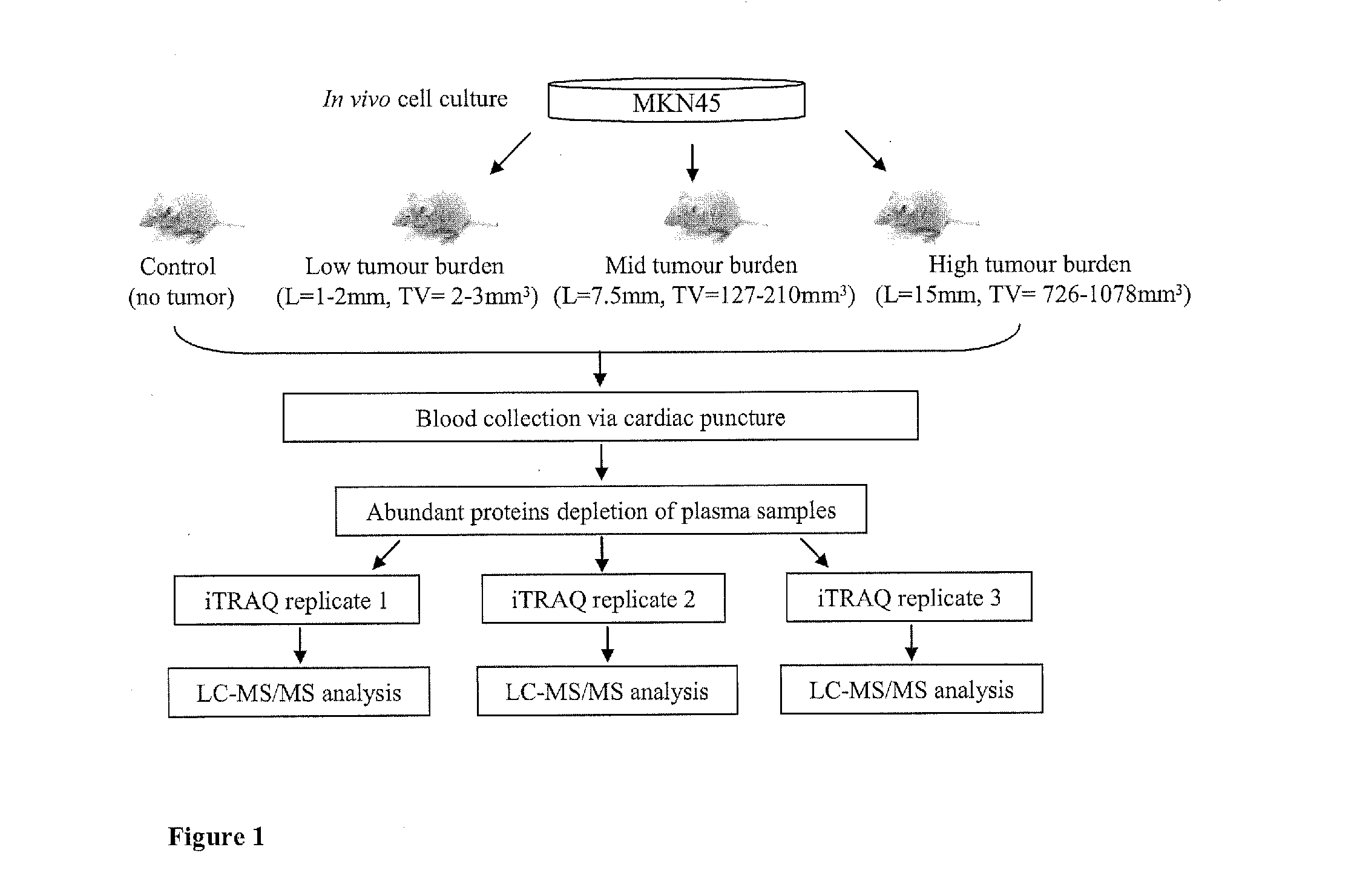 Methods For Detection Of Gastric Cancer